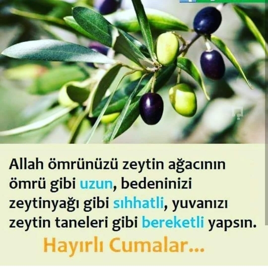 Gülten