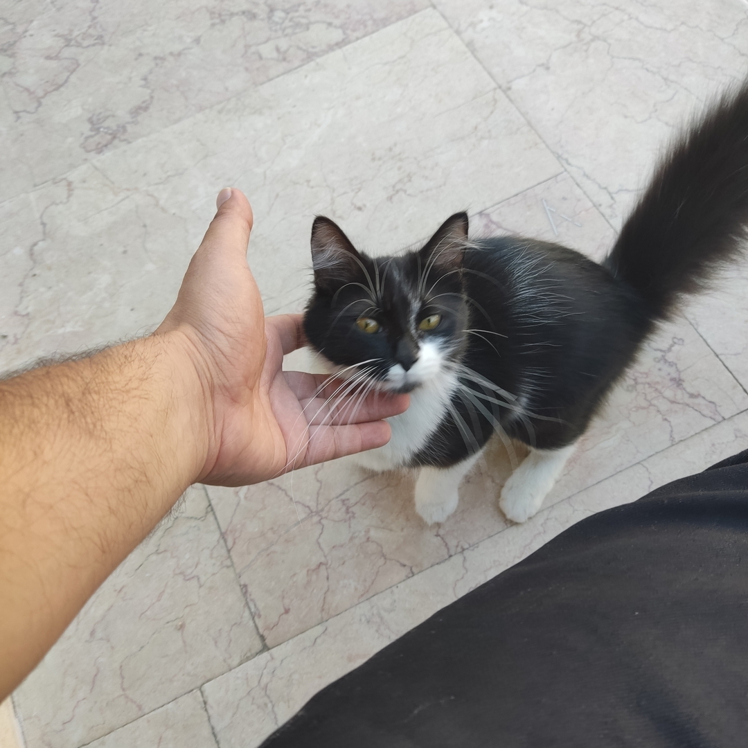 Tuna