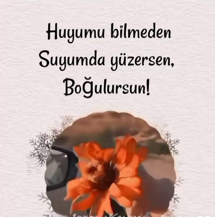 Metin