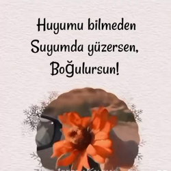 Metin