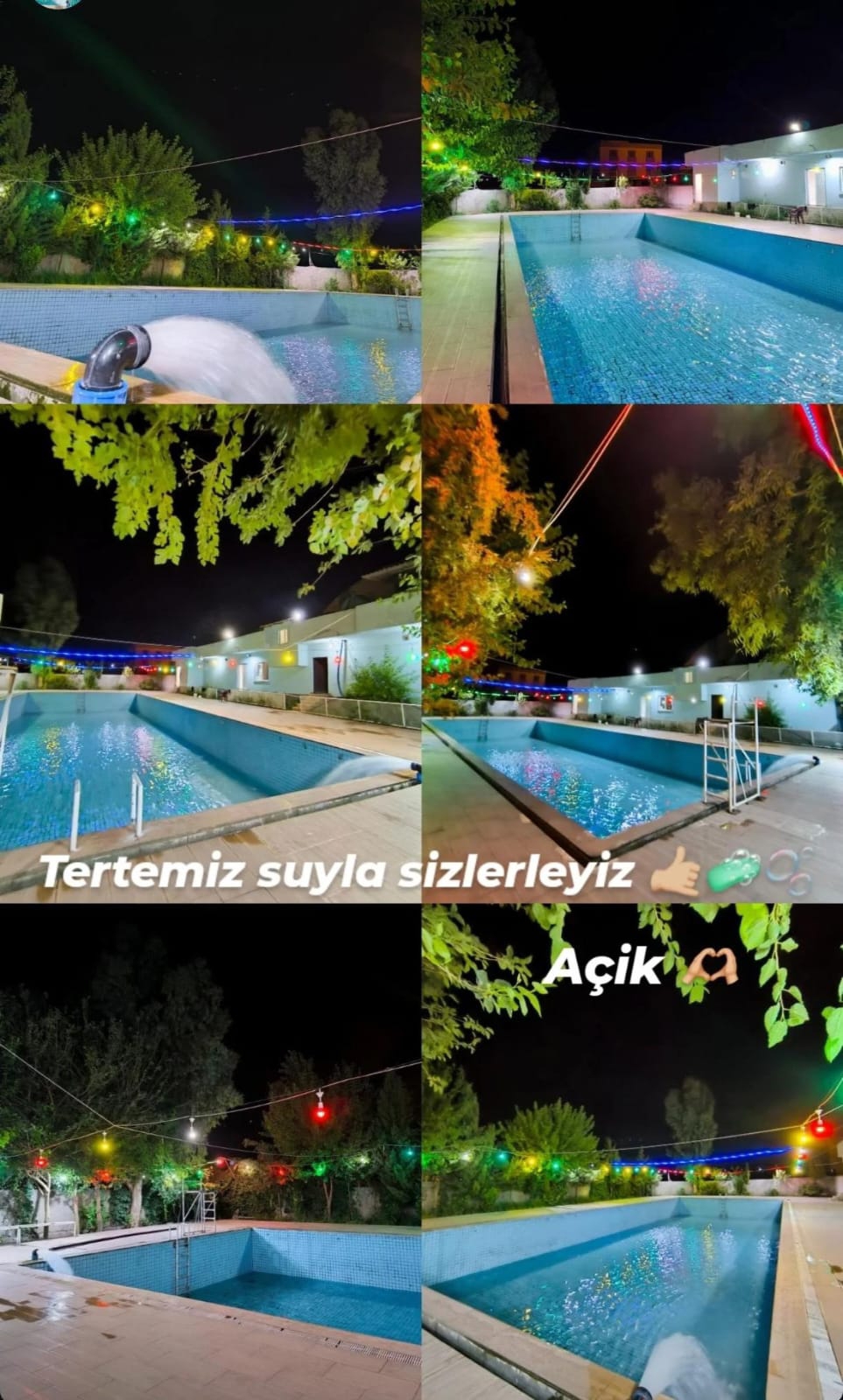 Erdal