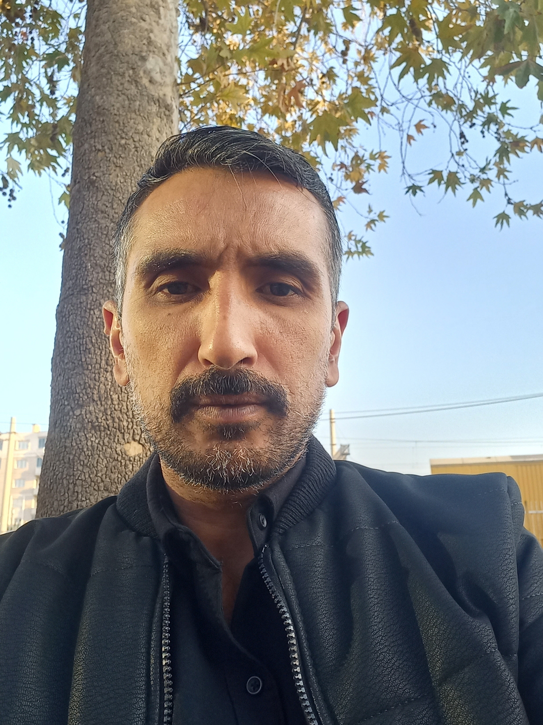 Yaşar