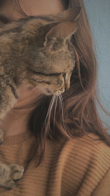 Merve