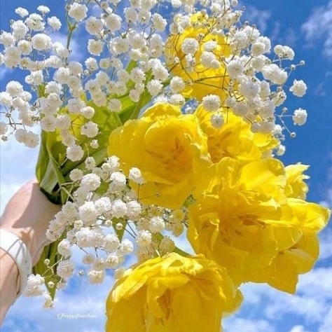 Chandni