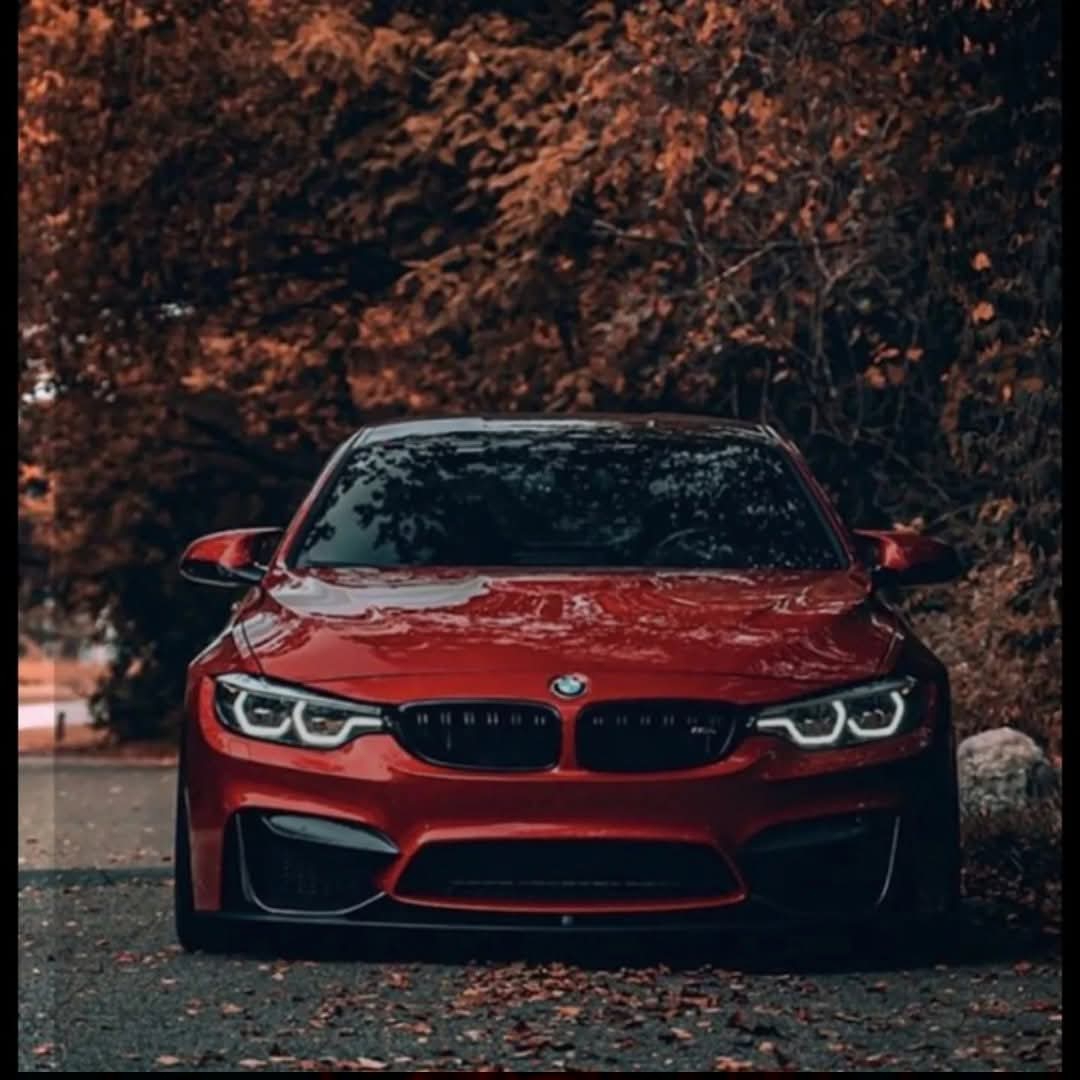 محمد