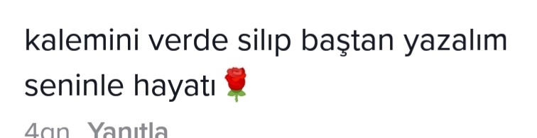 Ebru