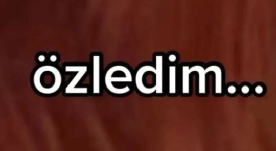 Zafer