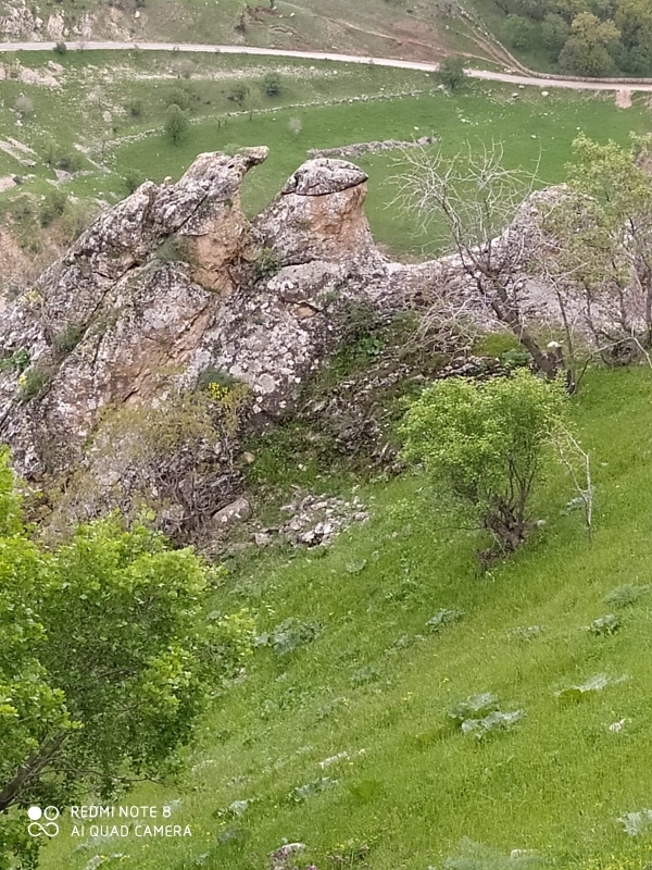 Abdurrahman