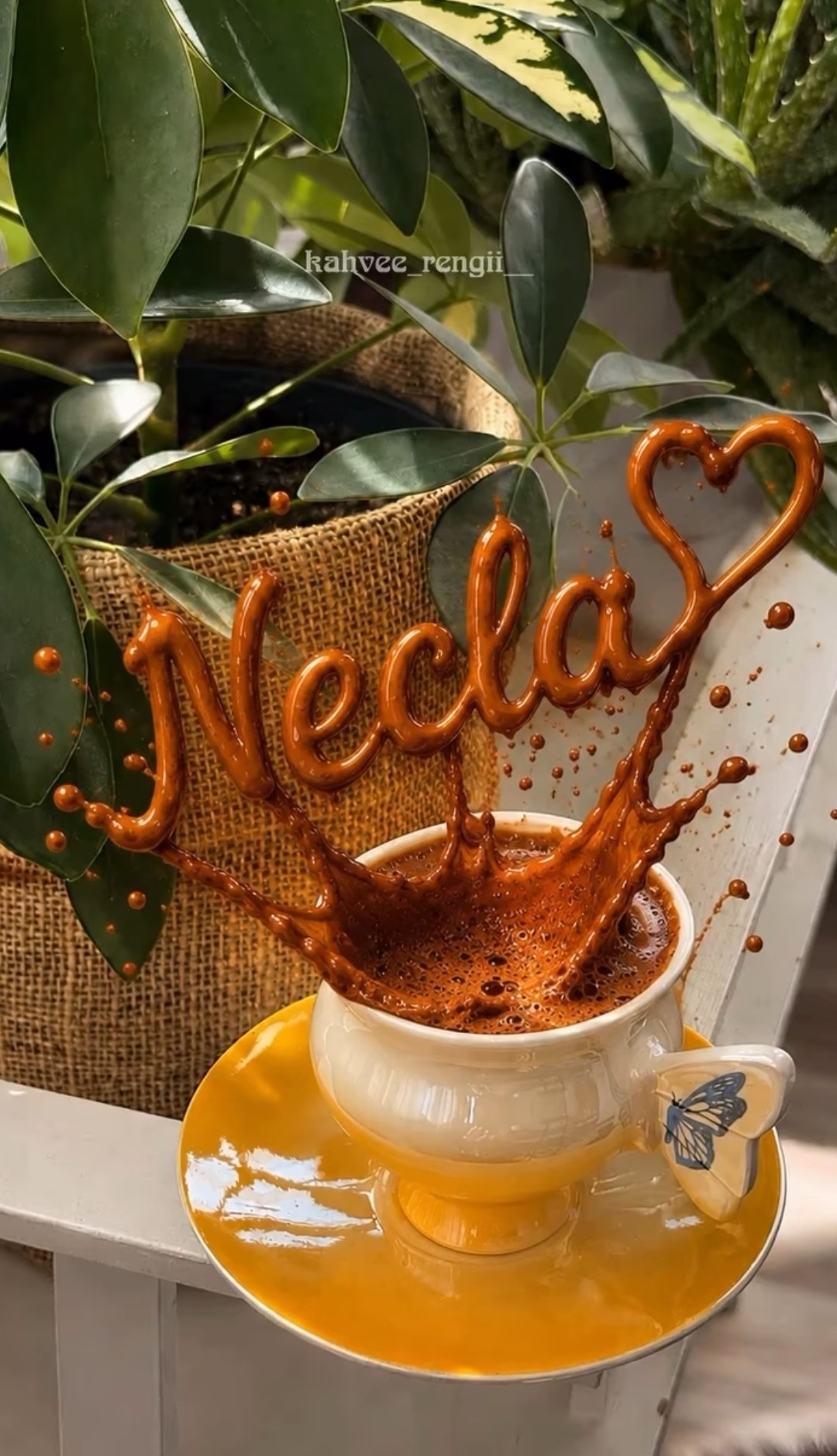 Necla