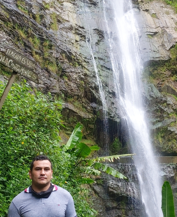 Inser