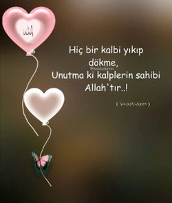 Hamiyet