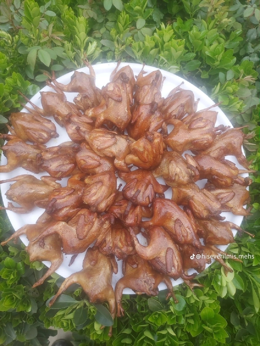 Abdulla