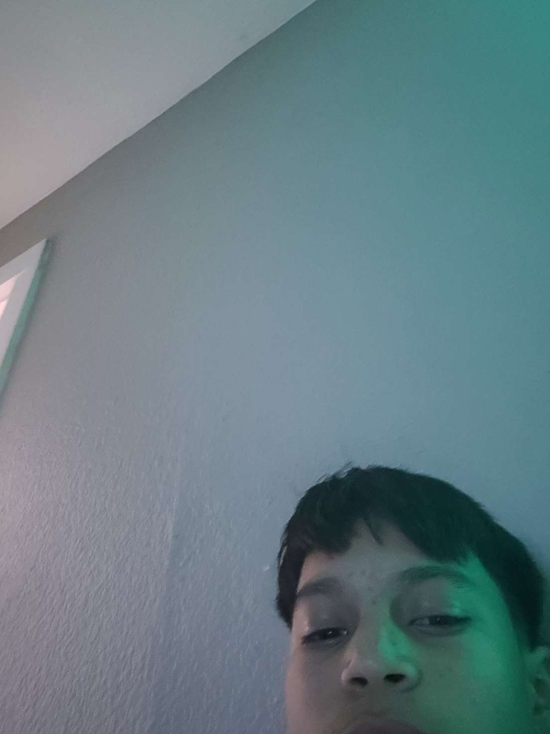 Ernesto