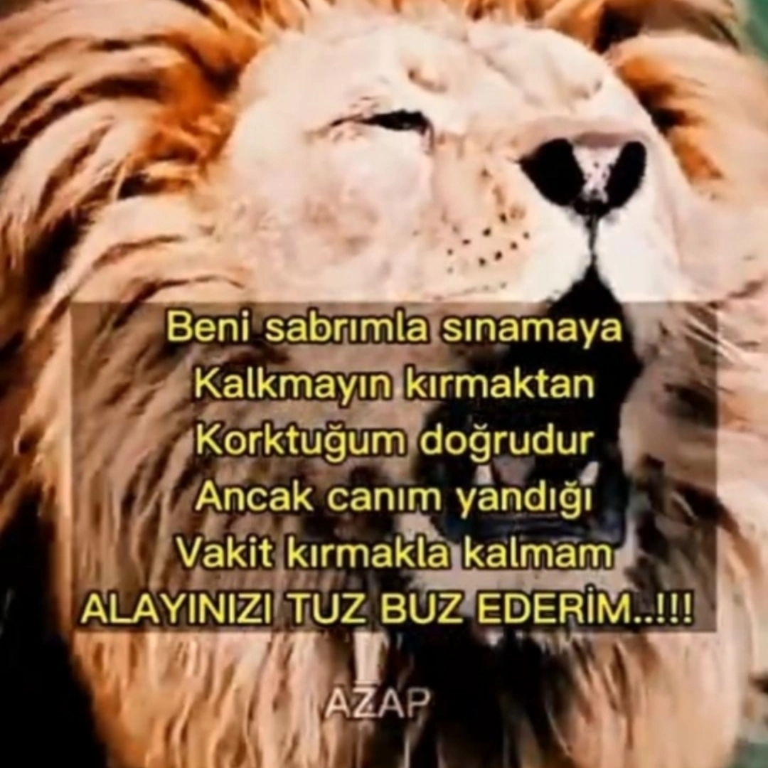 MERVE