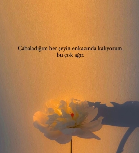Elifnur
