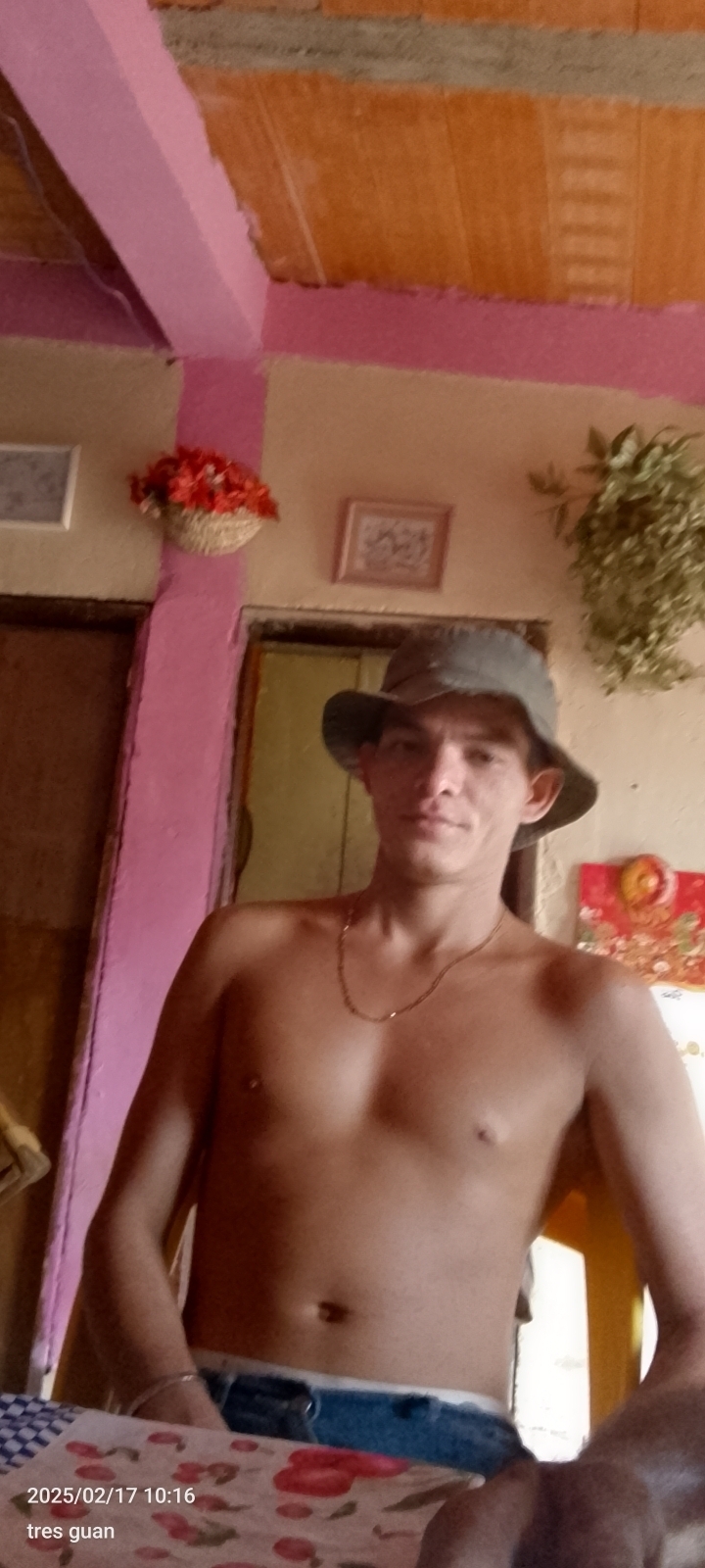 David