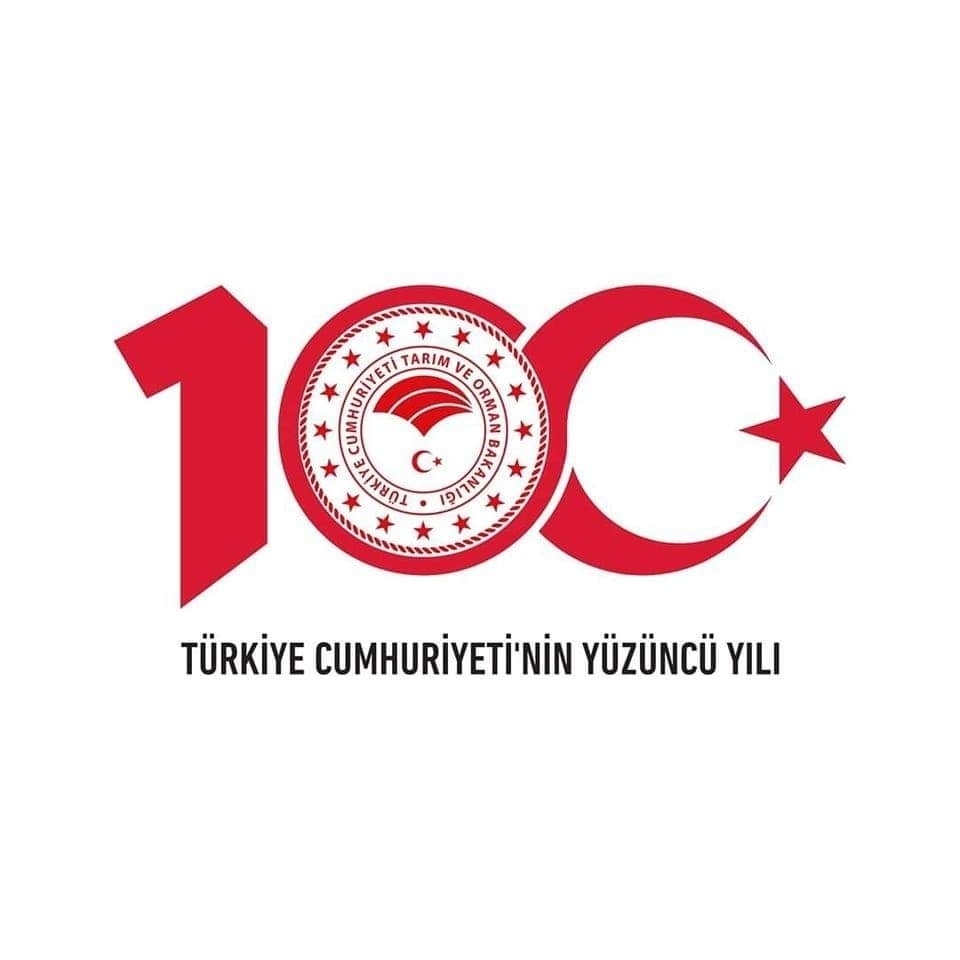 Turgut