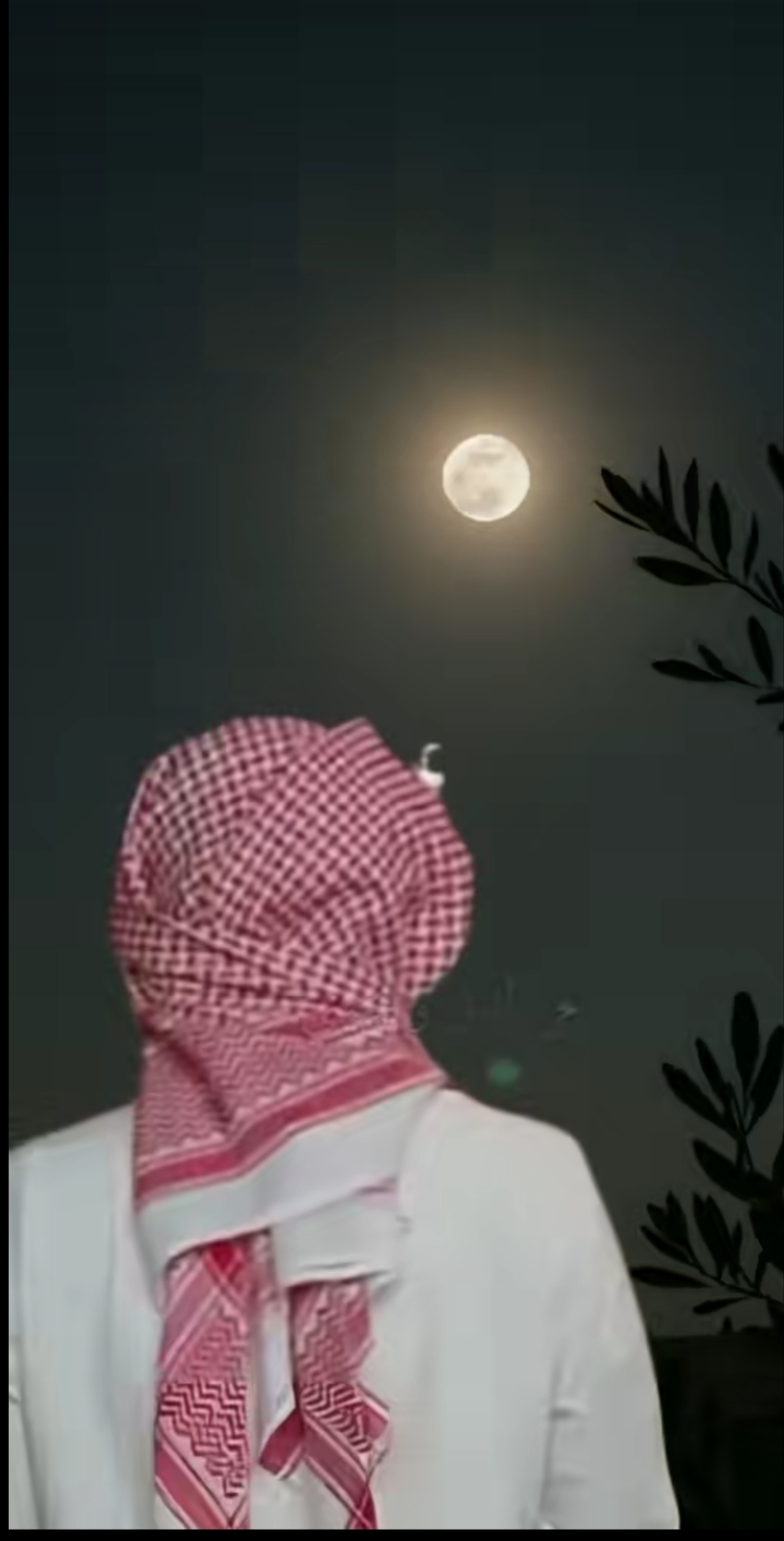 وجه