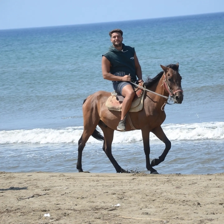 Ali