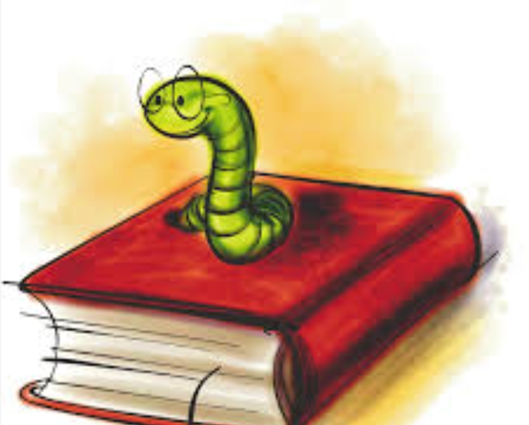 Kitap
