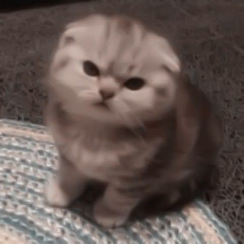アナ・ルイザ