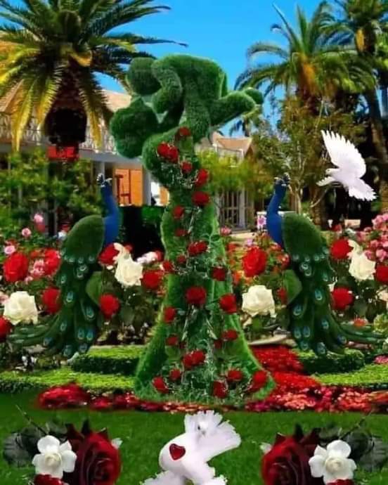 M shahzad