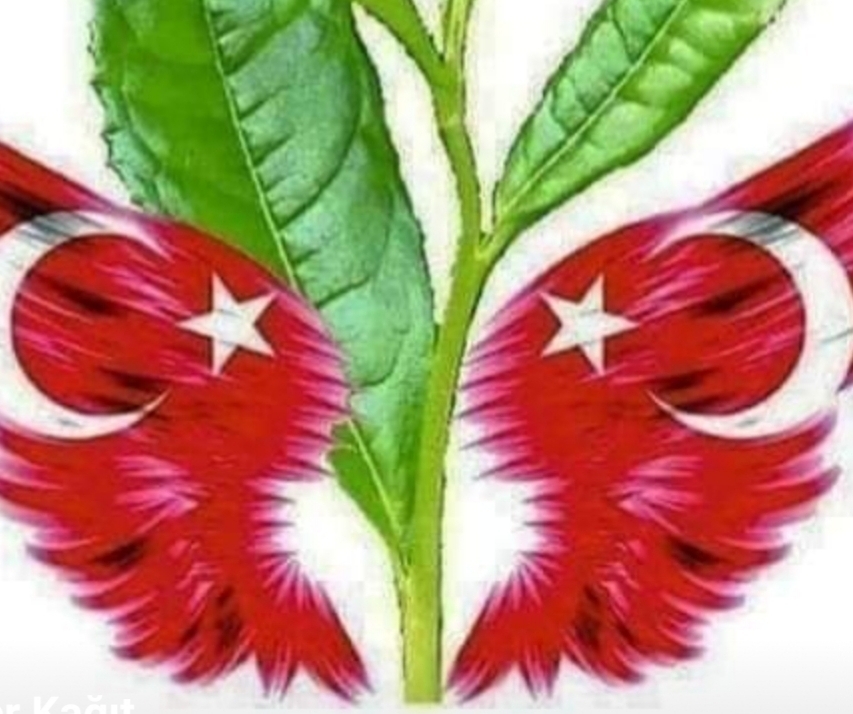 KaradeniZ