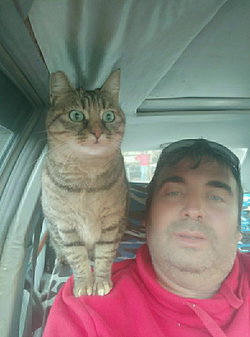 İbrahim