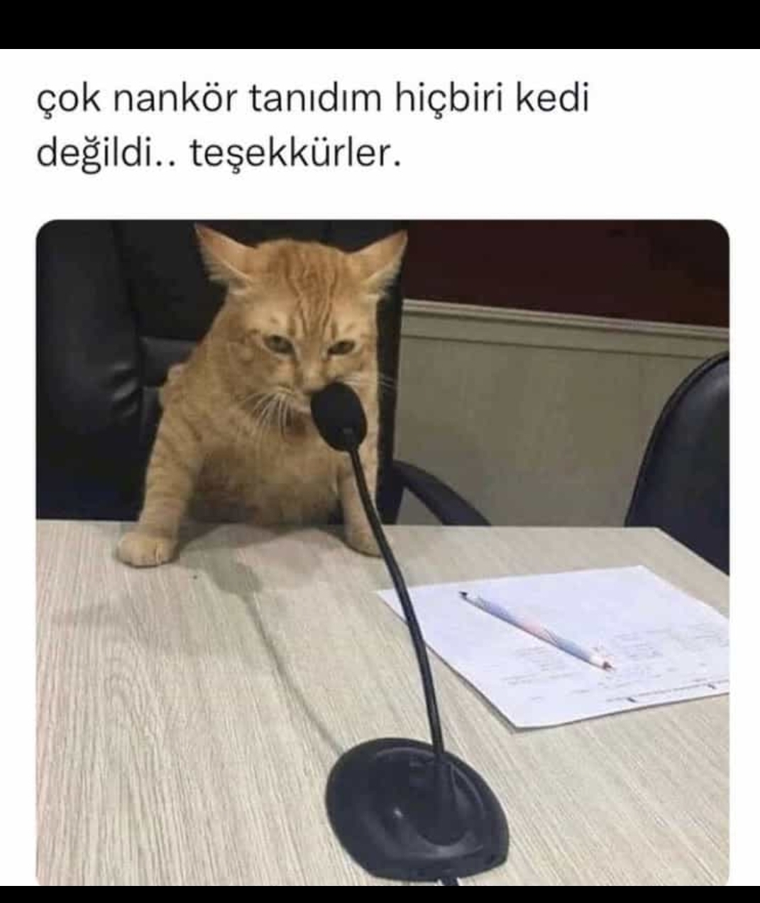 CemaL