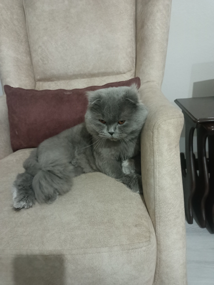 Gizem