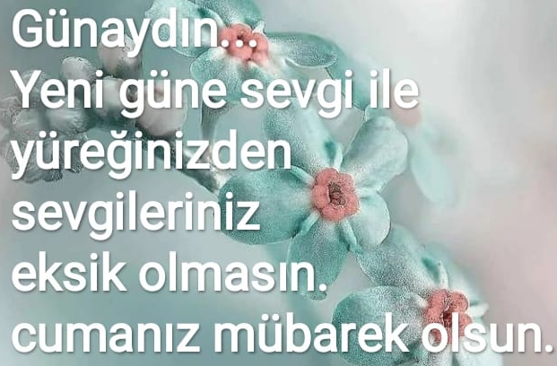 Veli