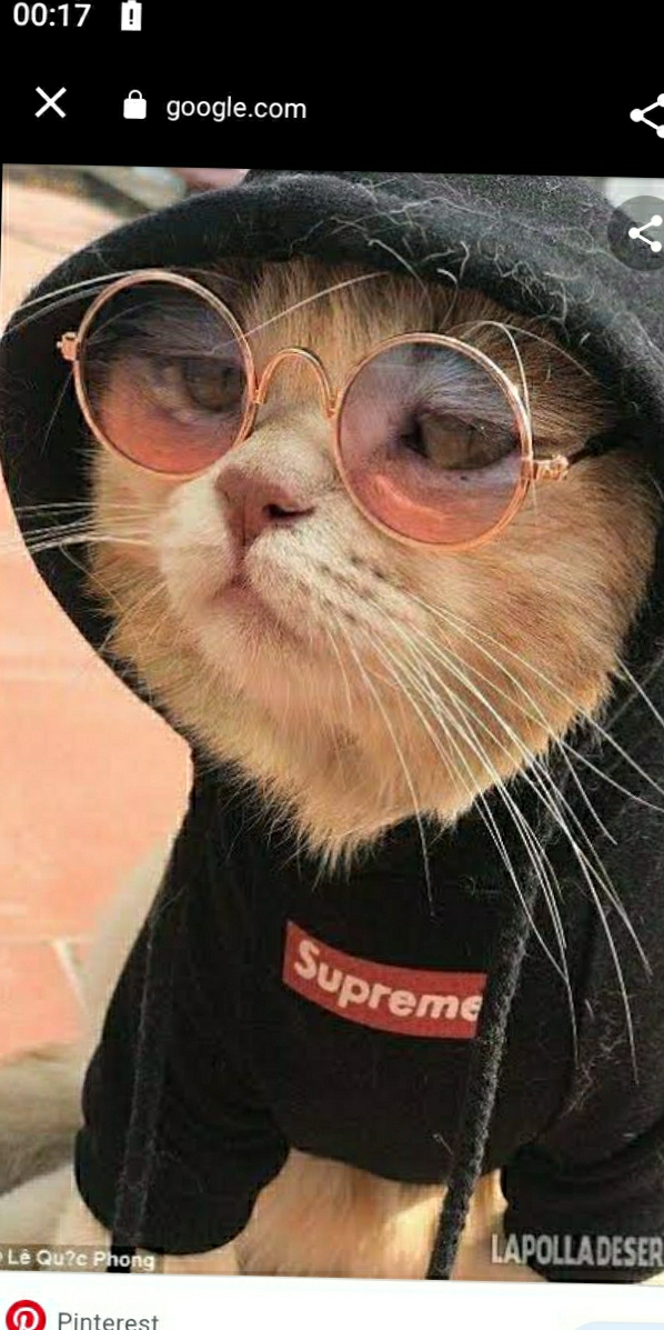 Muazzez