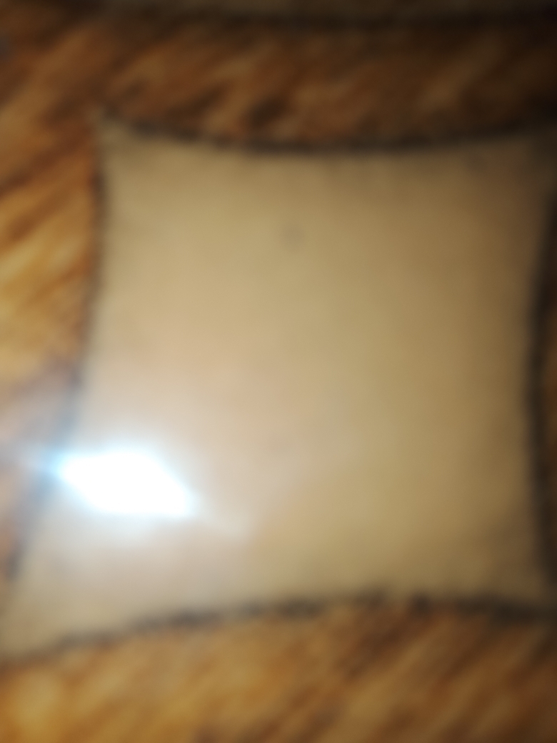 Nelitza