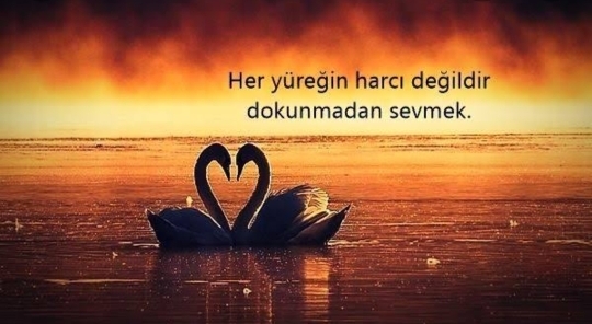 Sevgi