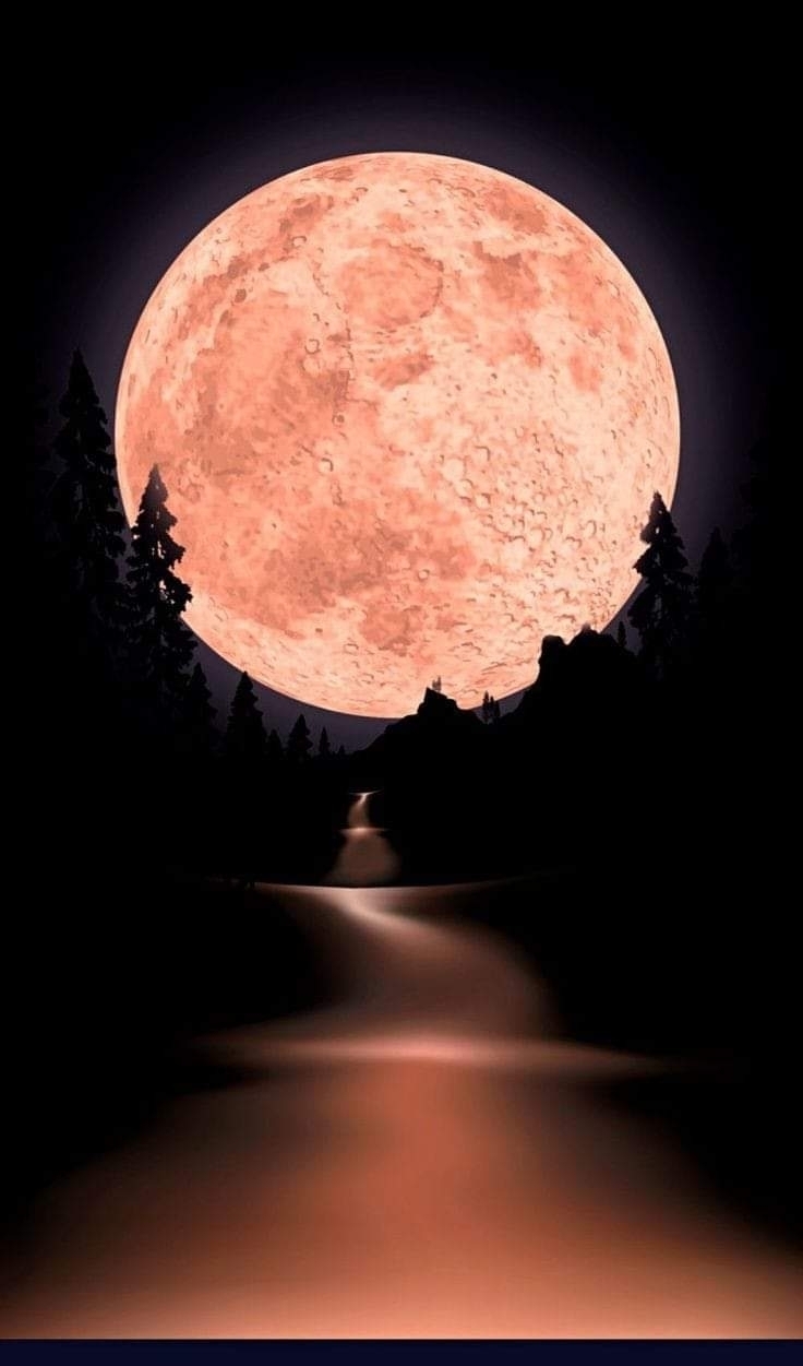 محمود