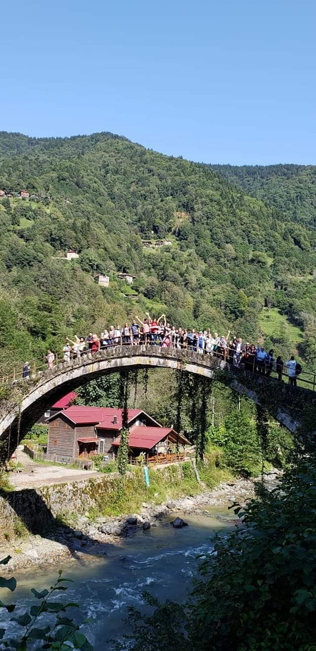 Olcay