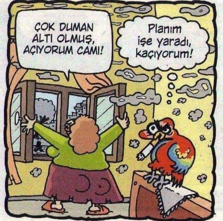 Hatice