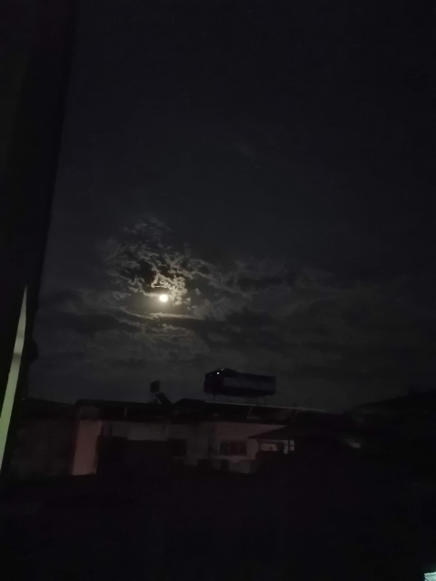 Betül