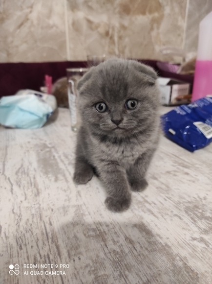 İbrahim
