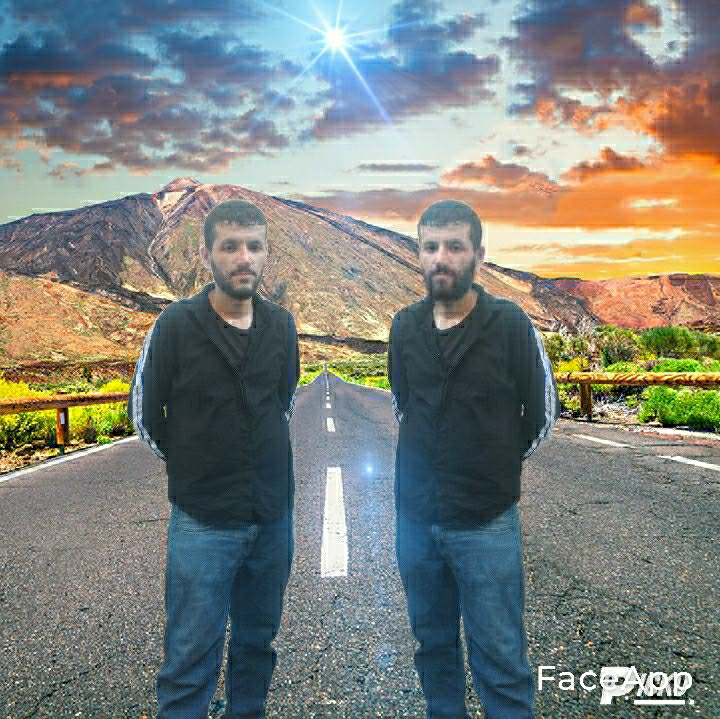 Cesim