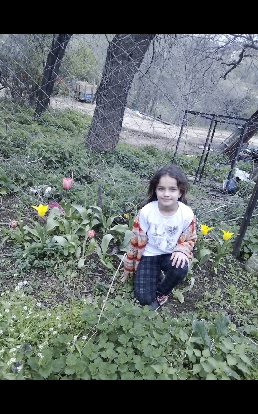 Emine