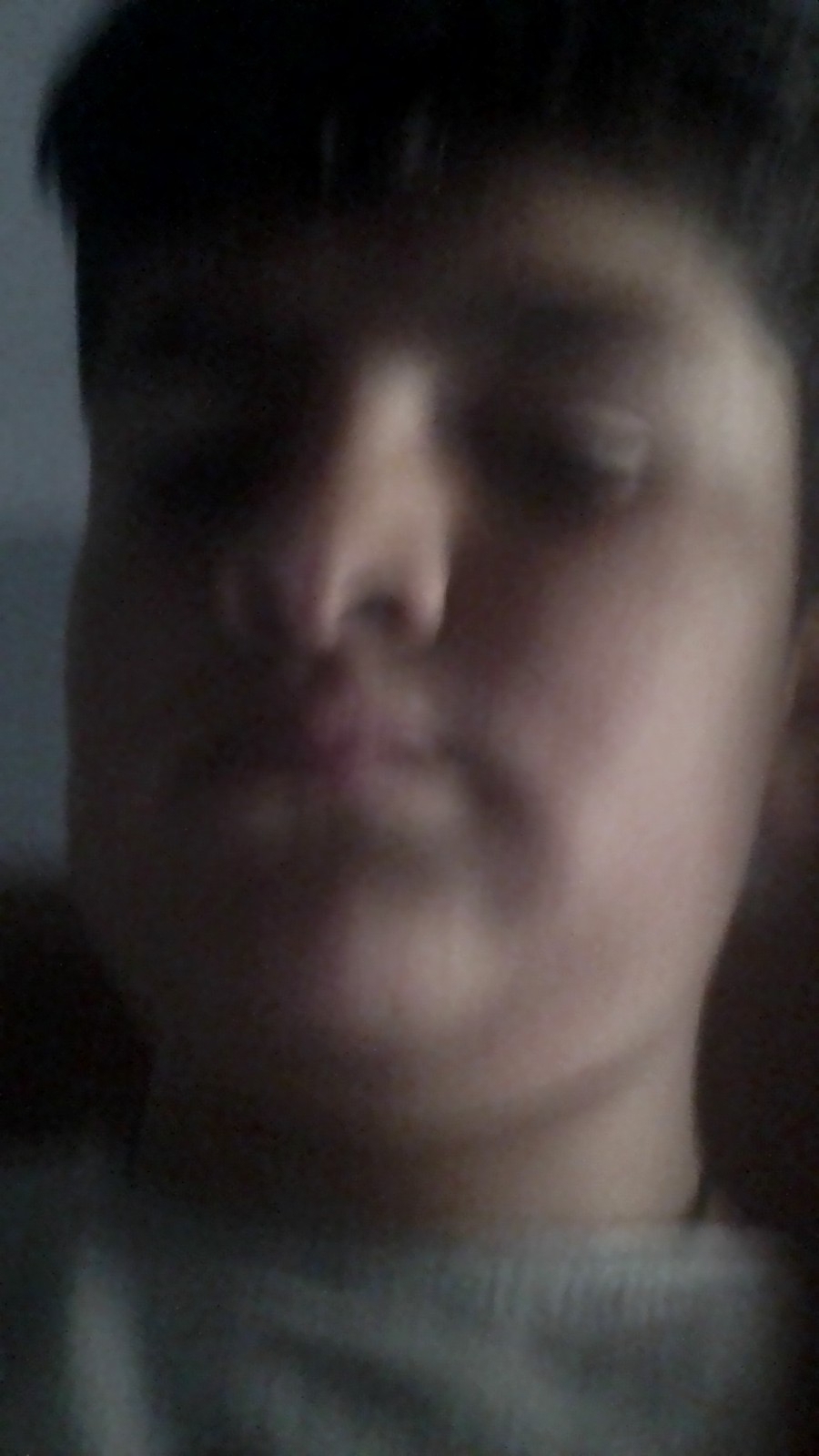 Elanur