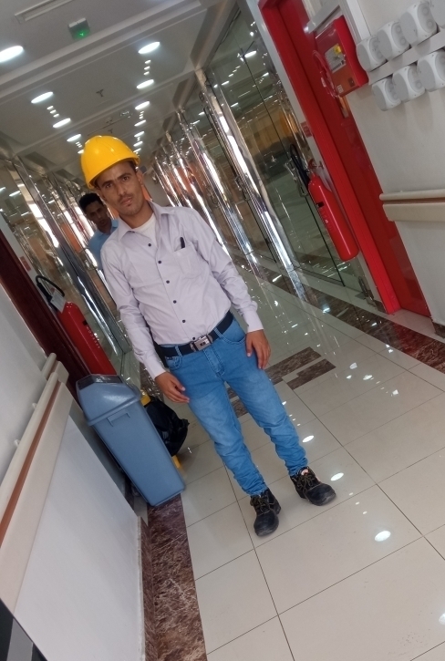 Aseel