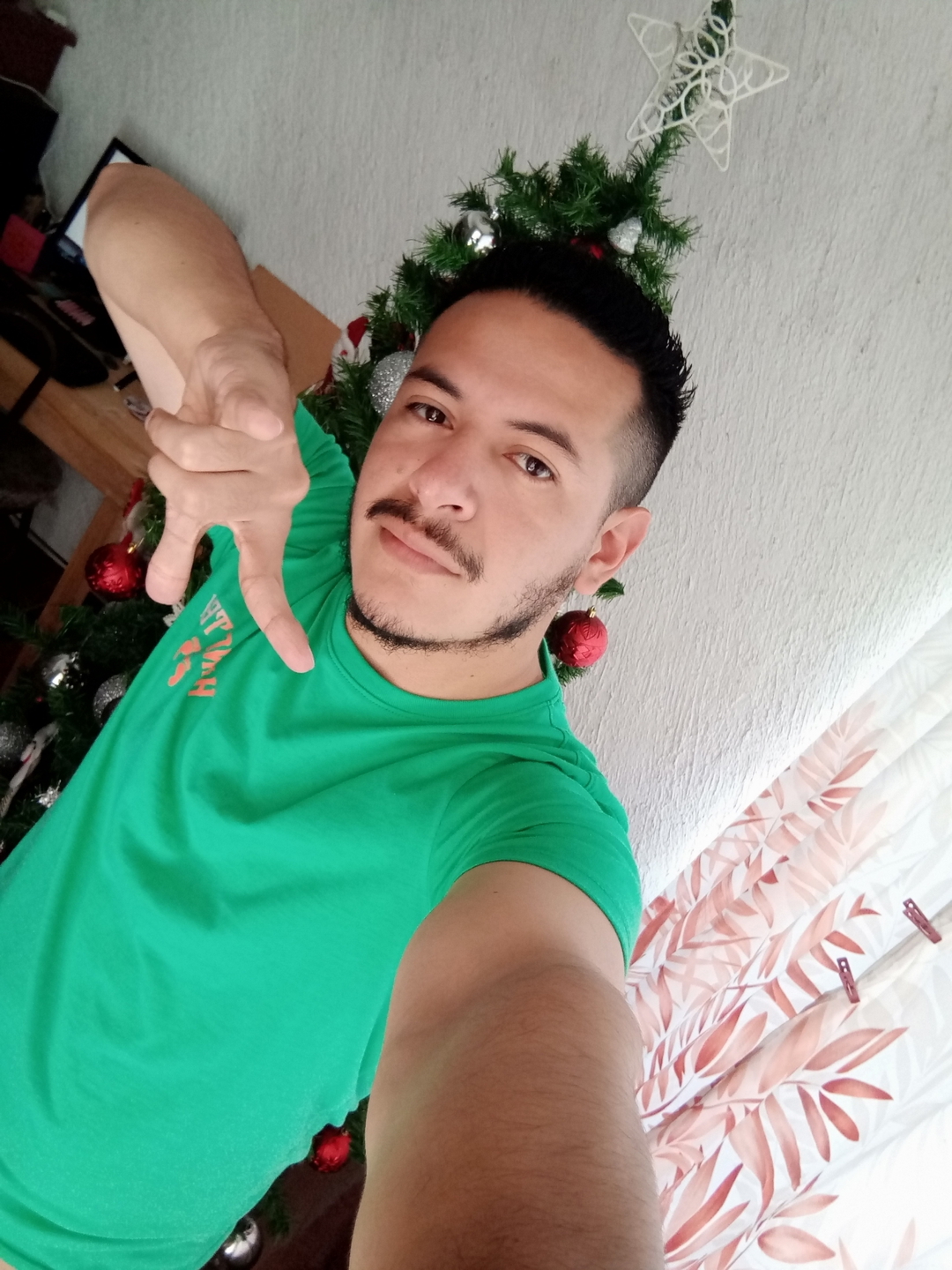 Alfonso
