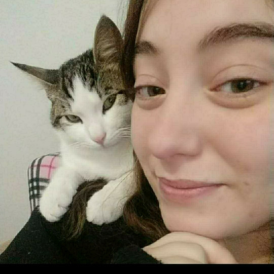 Rüya