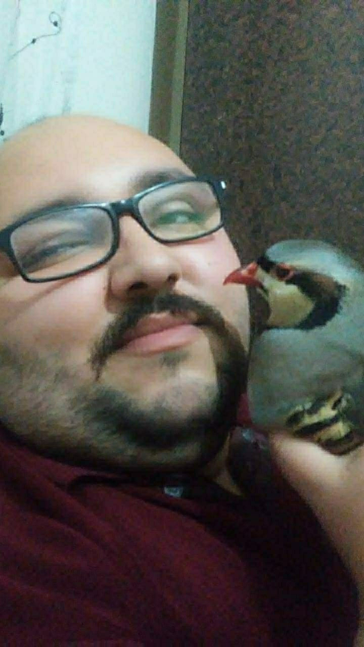 İbrahim