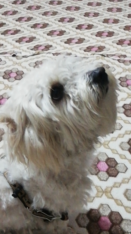 Beyza
