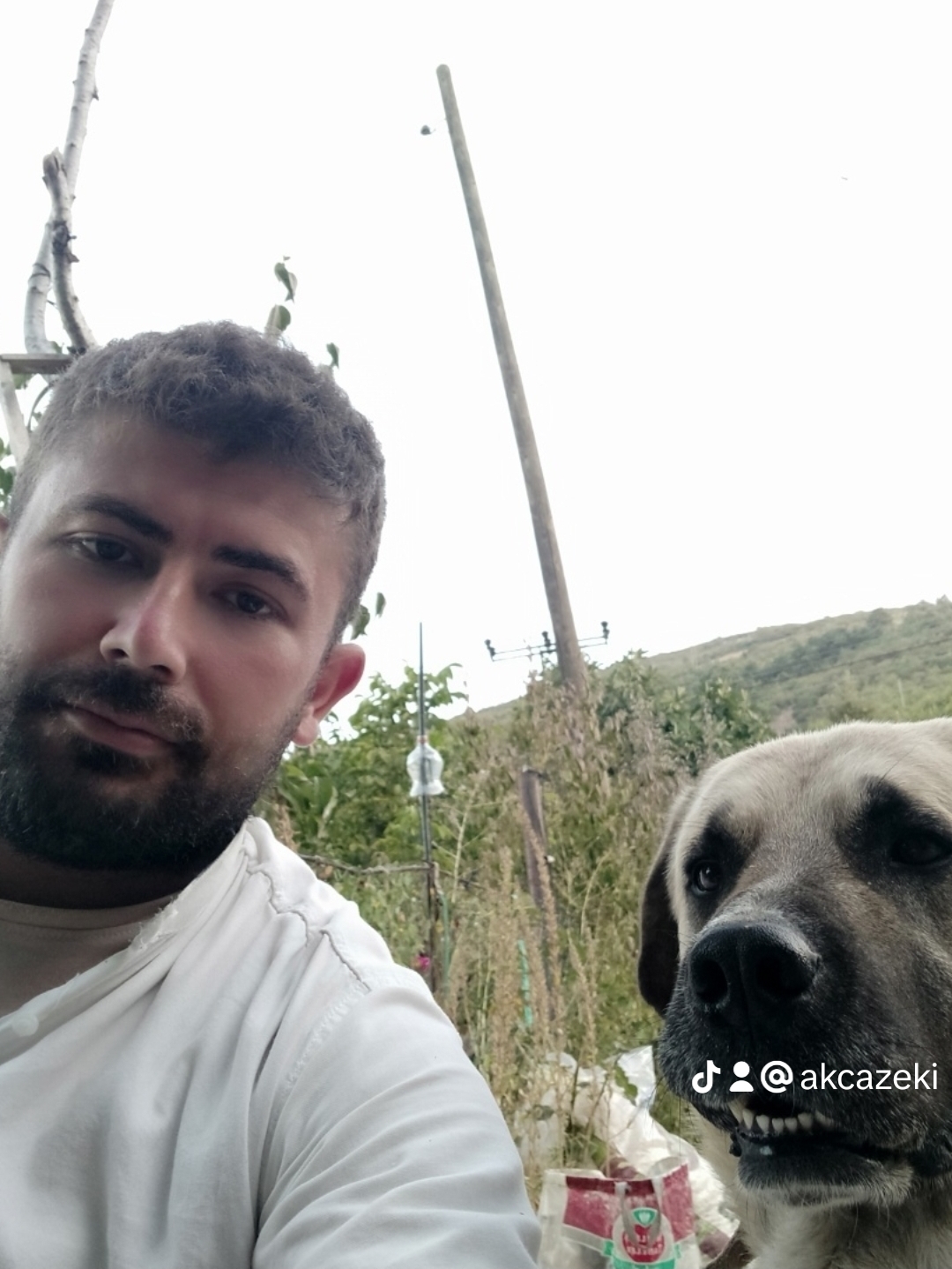 Zeki