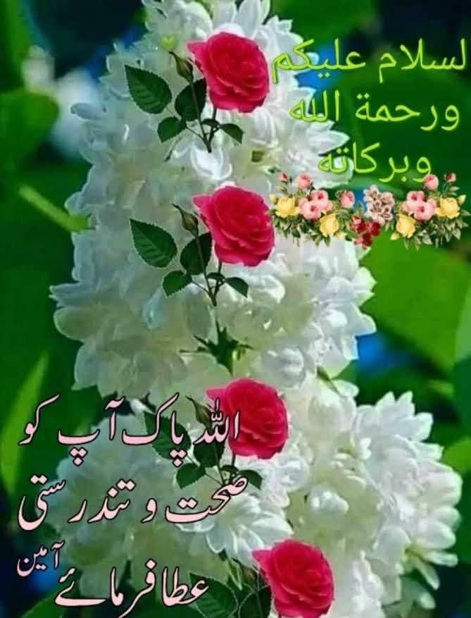 Anwar