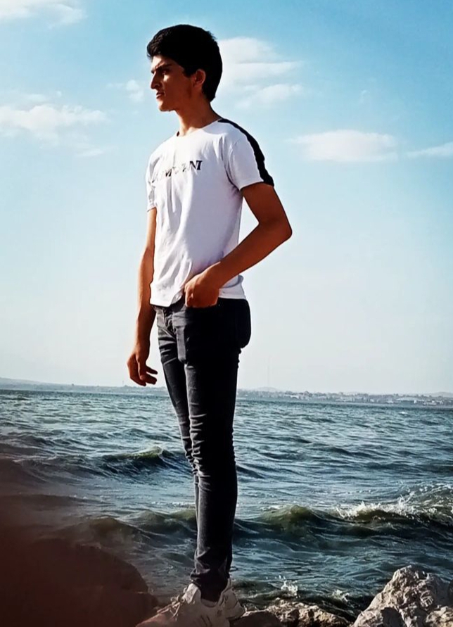 Şahin